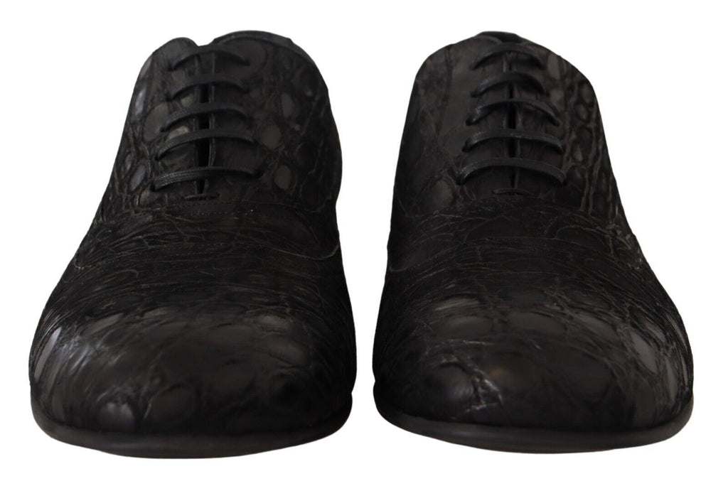 Schwarze Caiman Leder Oxford-Schuhe für Herren