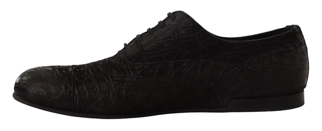 Schwarze Caiman Leder Oxford-Schuhe für Herren