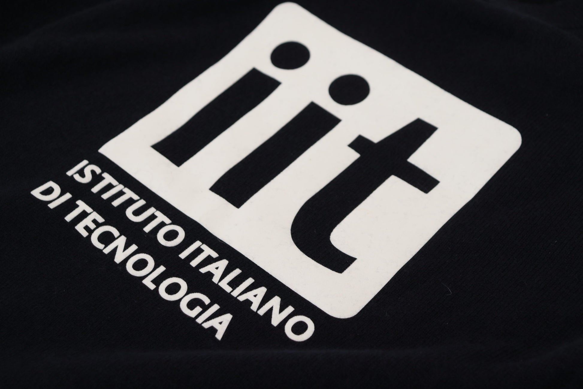 Blauer Pullover aus Kaschmir mit iit-Print