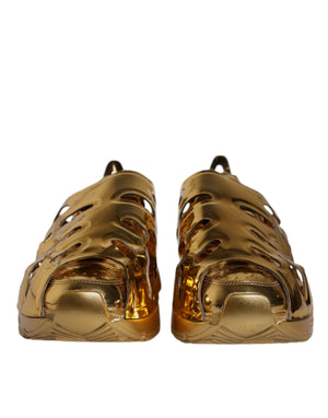 Dolce & Gabbana Gold Daymaster Leather Low Top Sneakers Shoes