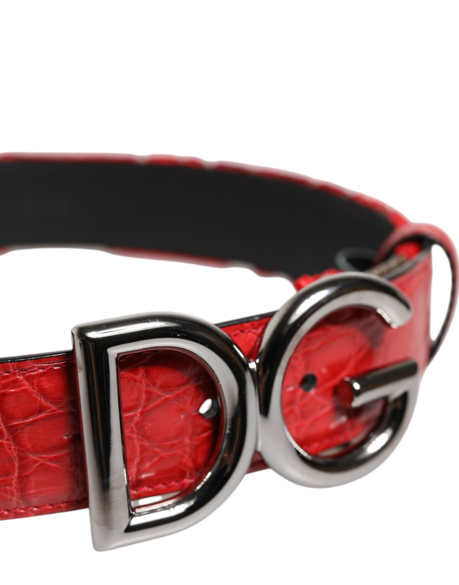 Roter Viskosegürtel mit silberner DG-Logo-Metallschnalle