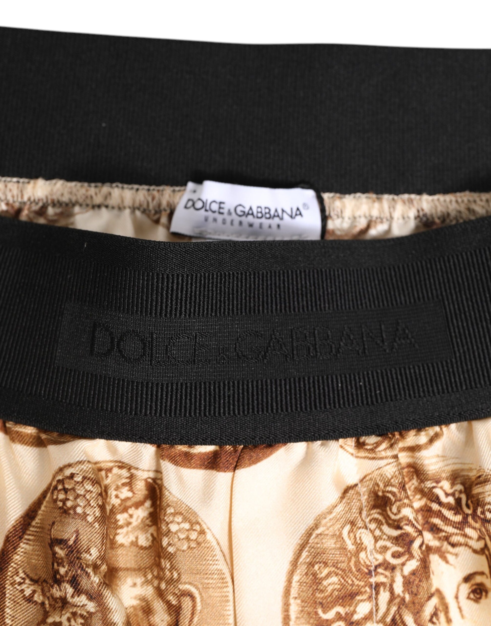 Dolce & Gabbana Brown Ancient Coin Print Silk Shorts Swimwear