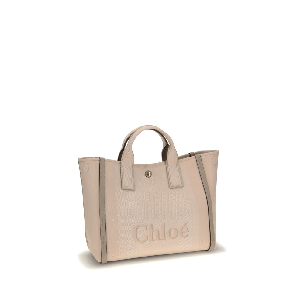 Carry Handbag