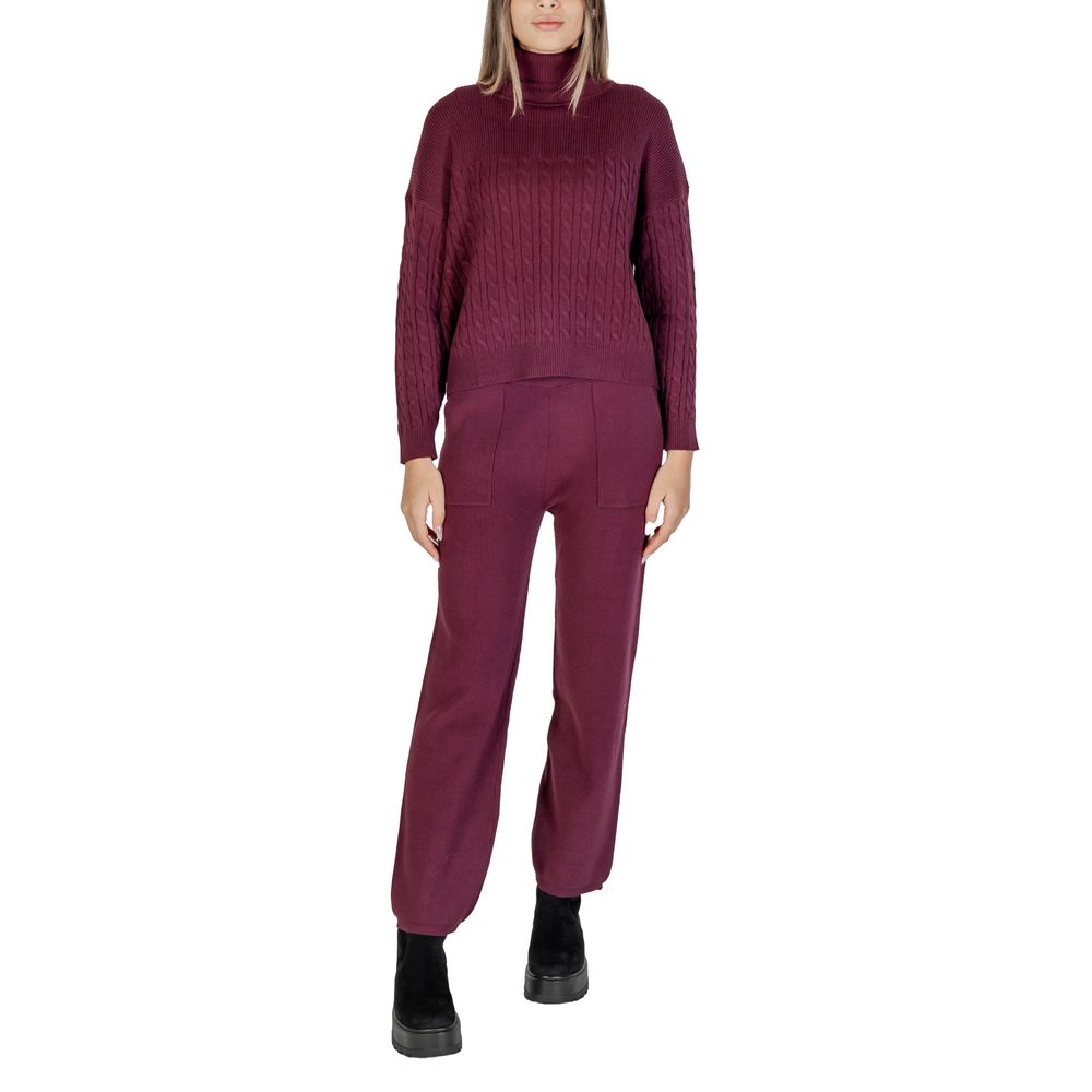 Cleré Bordeaux Viscose Turtleneck